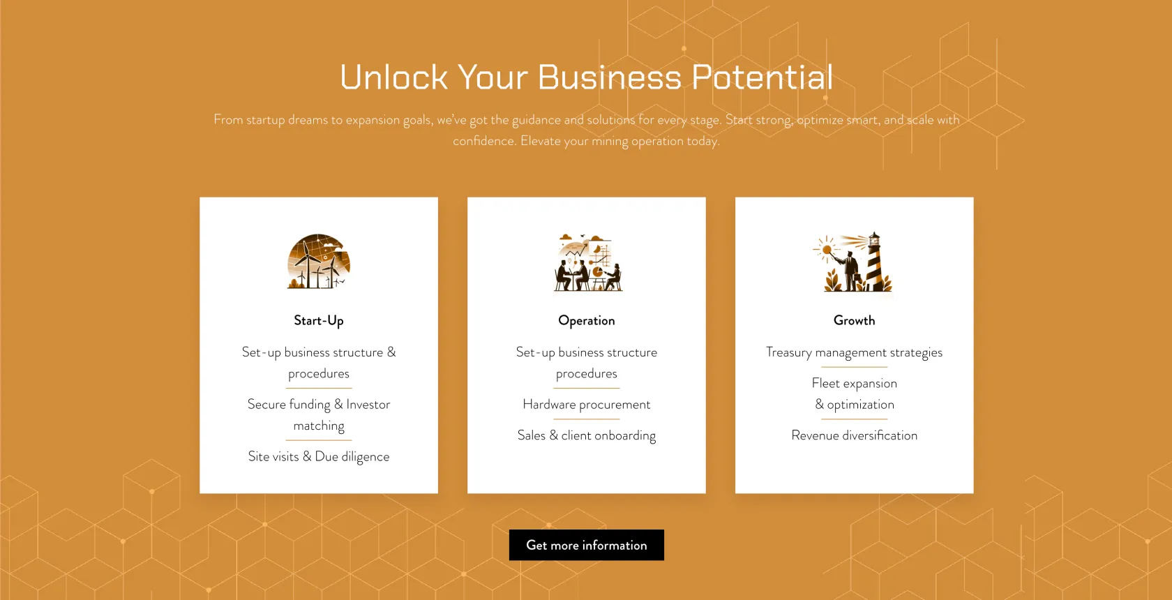 Digital Mining Solutions homepage
